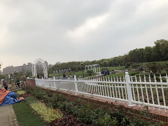 微信图片_20241016150030
